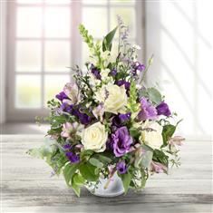 Florist Choice - Bella Blue
