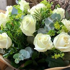 12 White Roses