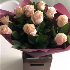12 Perfectly Pink Roses