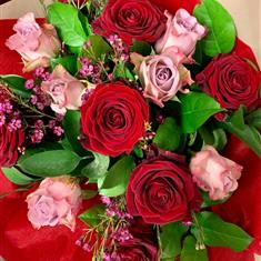 12 roses 6 Memory Lane &amp; 6 Red Rose