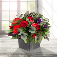 Red &amp; Purple Arrangement