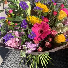 Florist Choice - Colourful